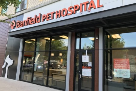 Banfield Pet Hospital - Austin, TX