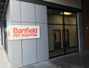 warwick construction banfield pet hosp austin tx